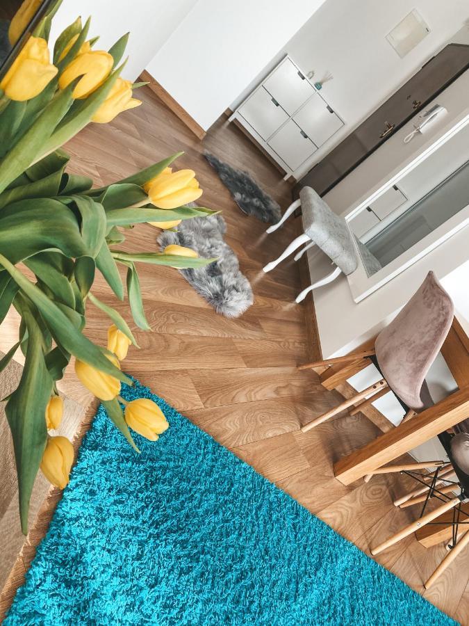 Apartament Solna 80 - Centrum Miasta Z Podziemnym Garazem Келце Екстериор снимка